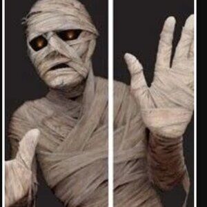 WOWindow Poster- Mummy (2 PSC) Backlight Reusable 34.5" x 60" Poster